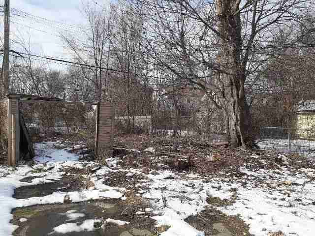 Testing again(75).jpg